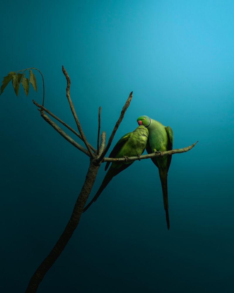 Photograph by Chaitanya Dudhalkar