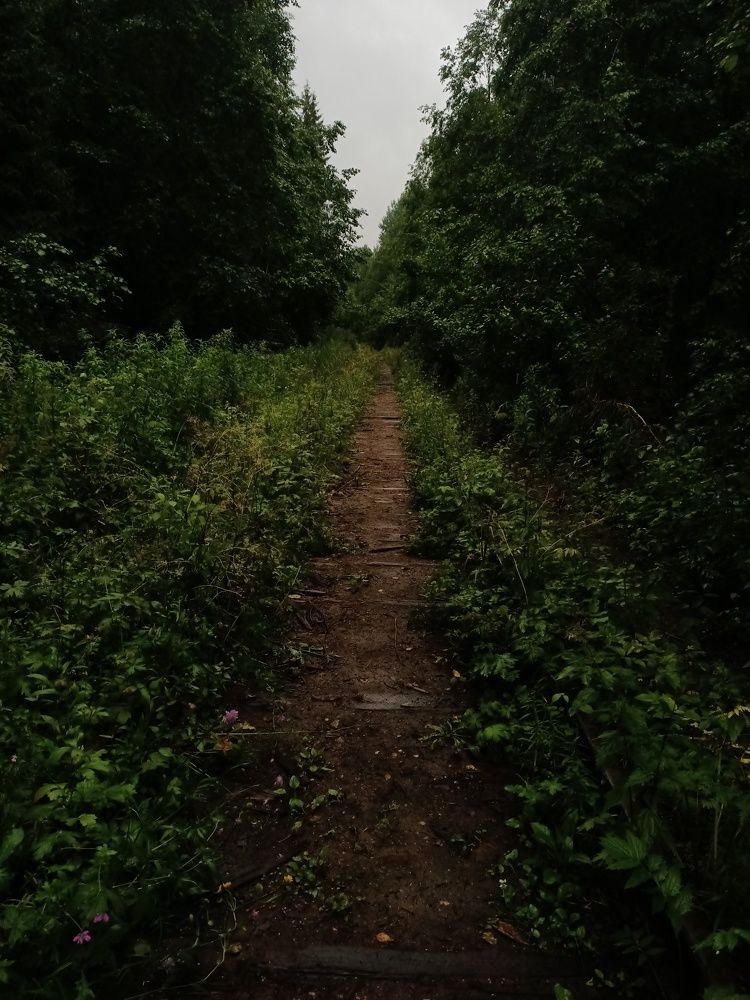 Photograph by Фёдор