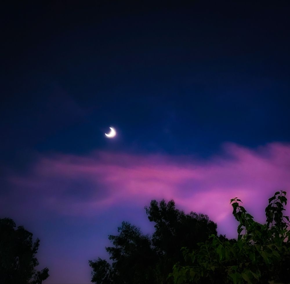 Photograph by Doha Mahmoud