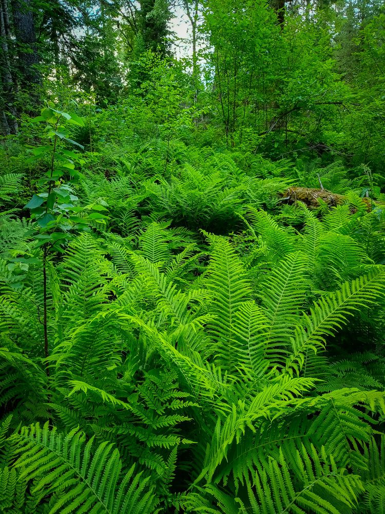 Photograph by Alexander Ivanov