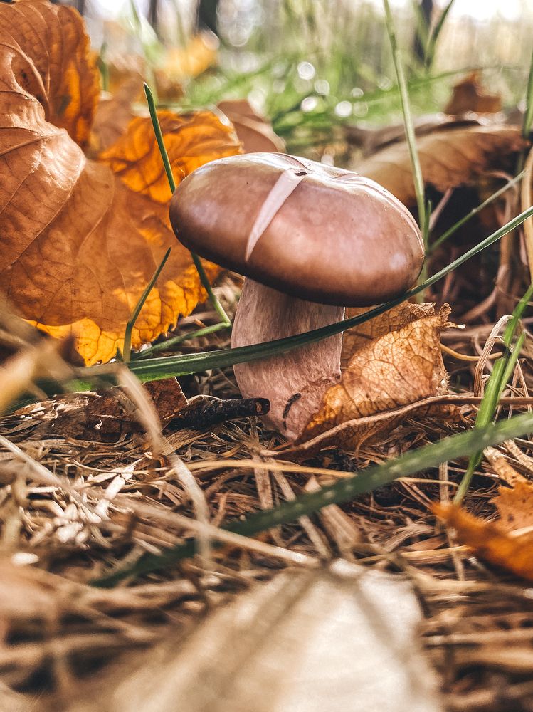 Photograph by Дарья Радькович