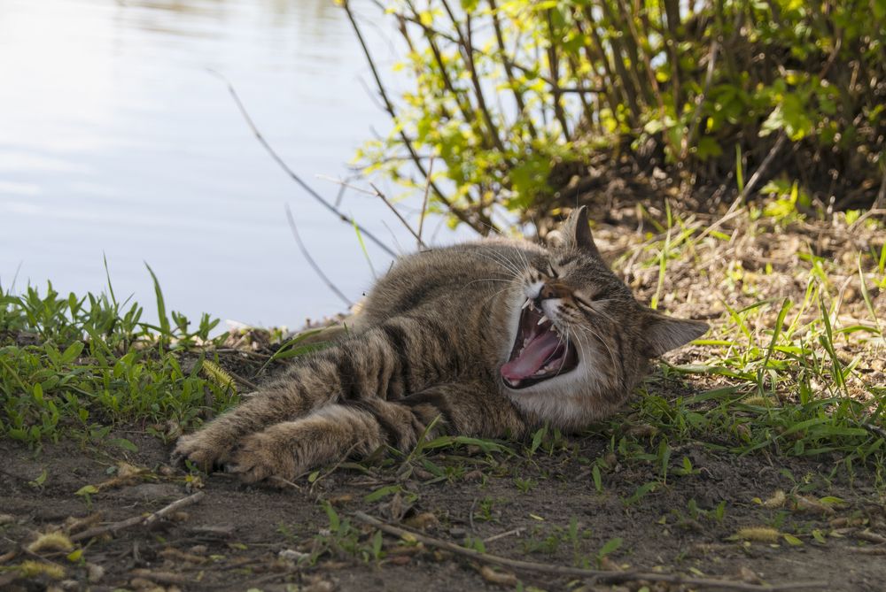 Photograph by Екатерина Бахтинова