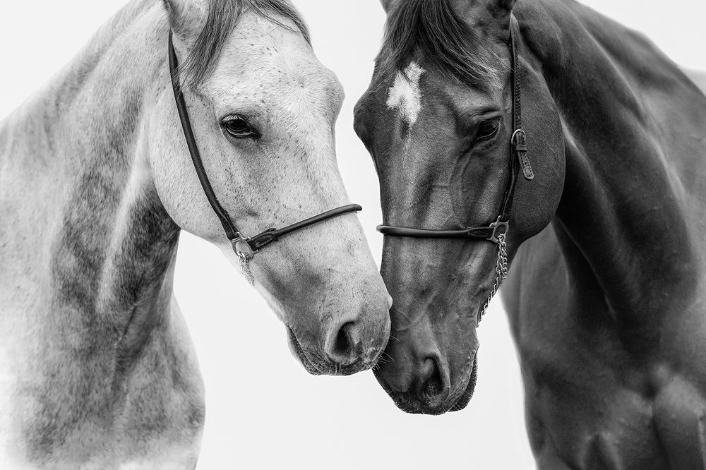 Фотография автора Camilla R Cintra