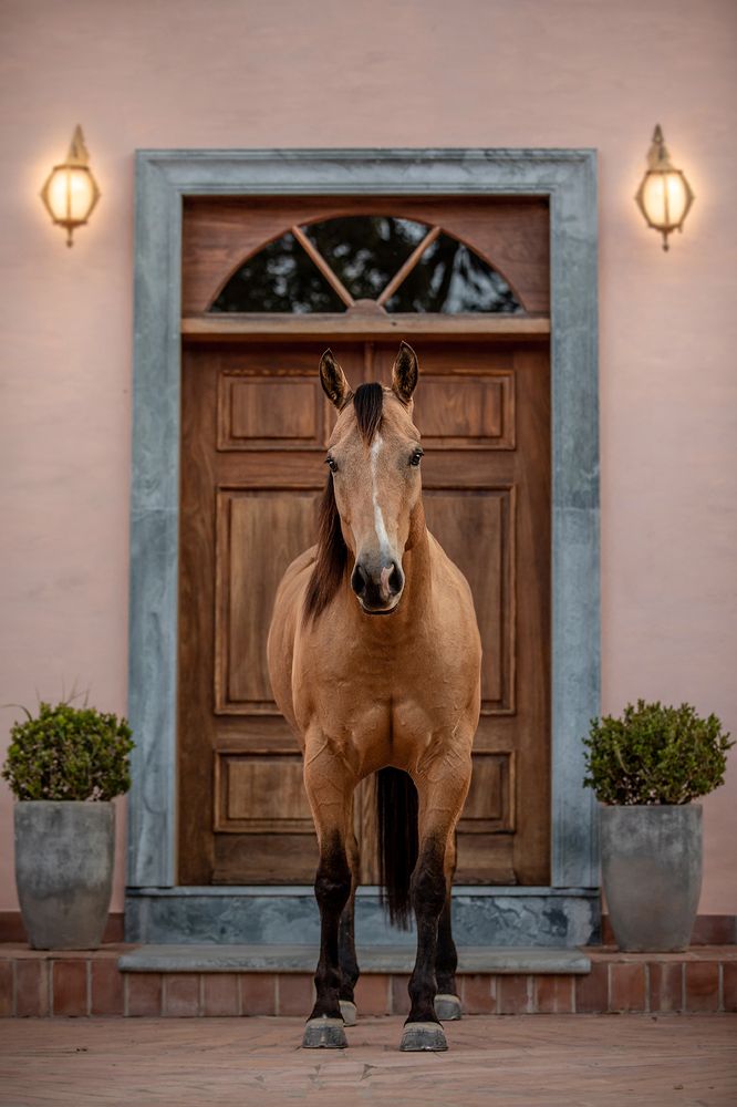 Фотография автора Camilla R Cintra