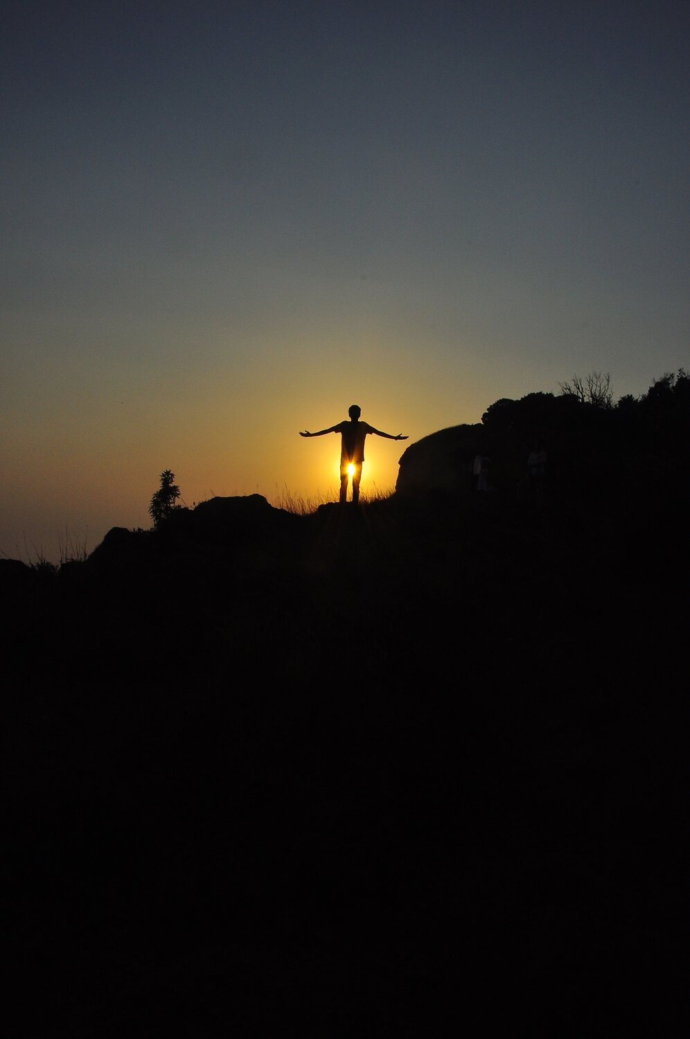 Photo #8886800