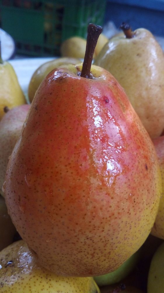 Спелые груши          Ripe pears