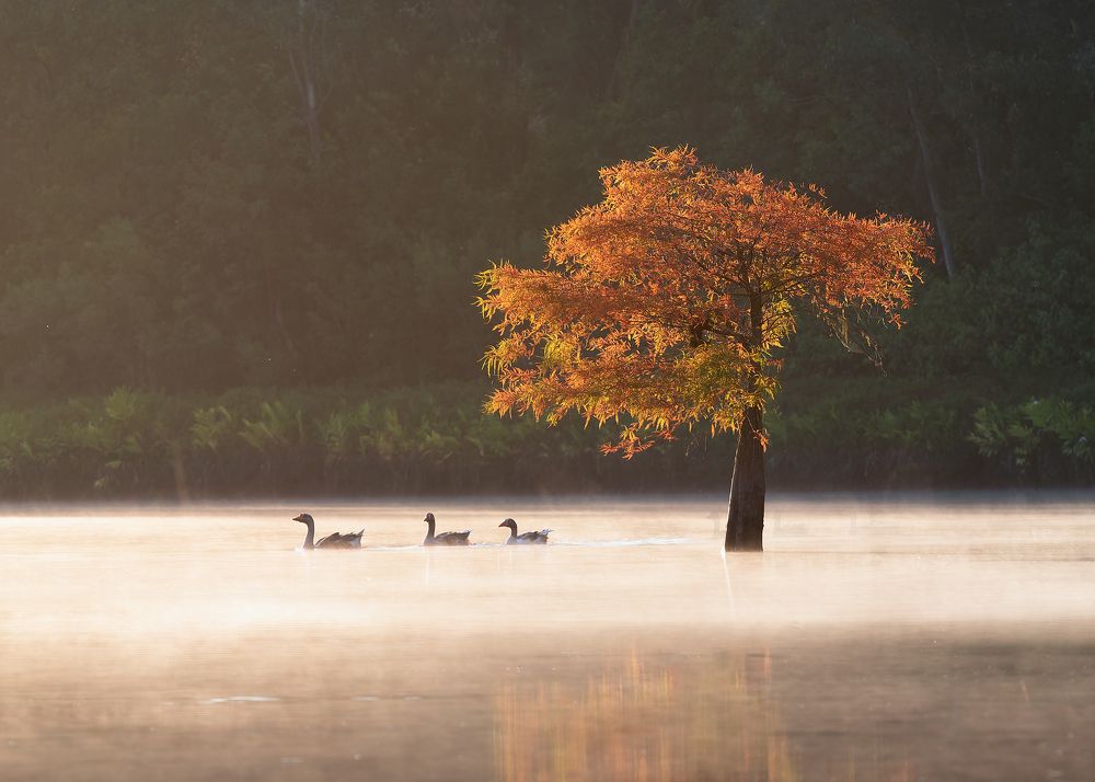 Photograph by Valdir Hobus