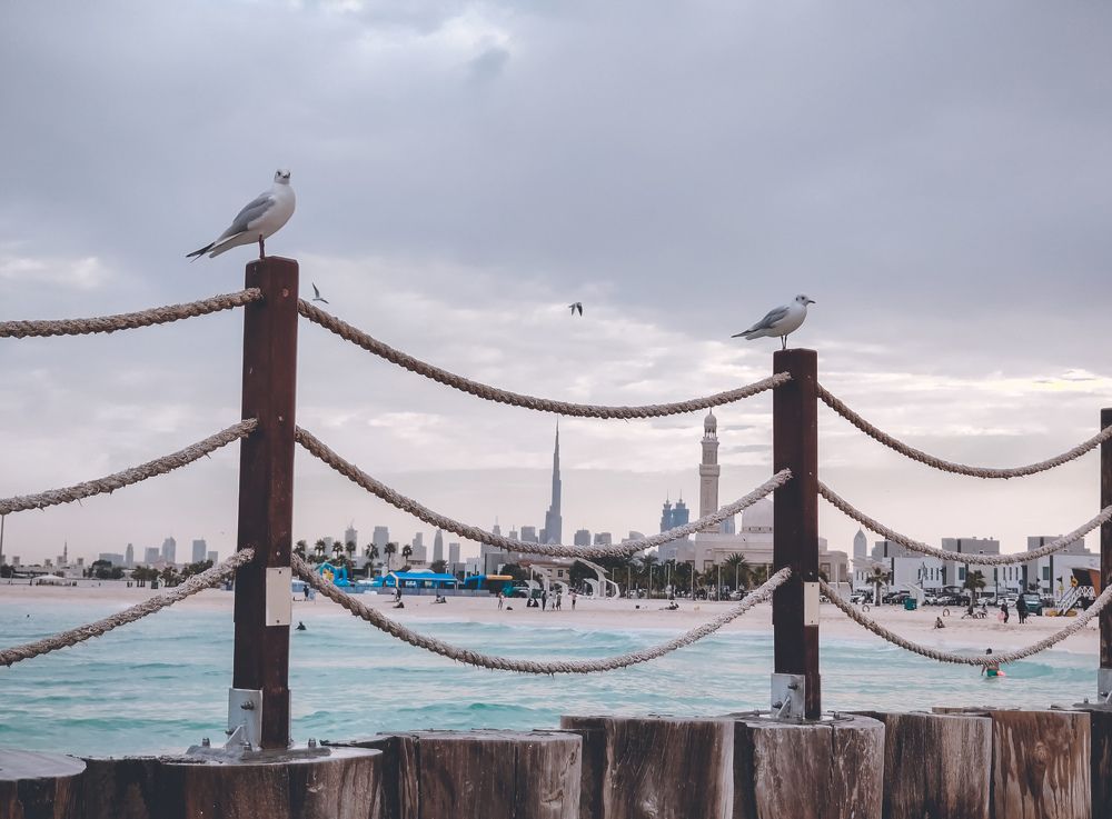 Photograph by Illauddin