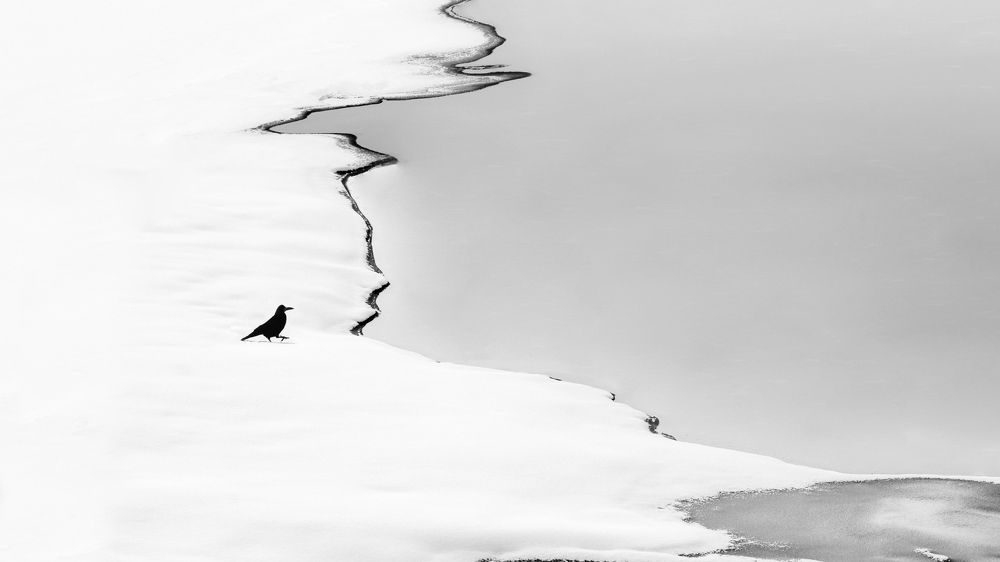 Фотография автора payman Mollaie