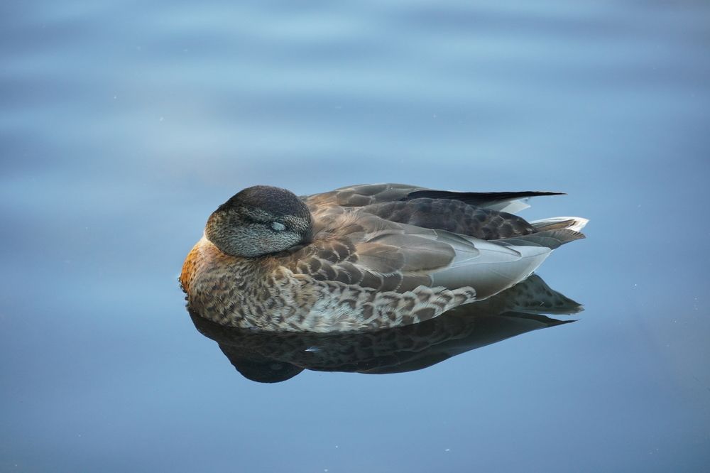 Photograph by Высотских Владимир