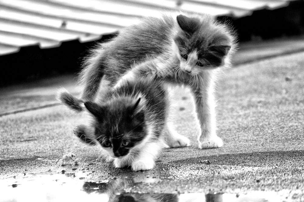 Photograph by Vitaliy Saposhnikov