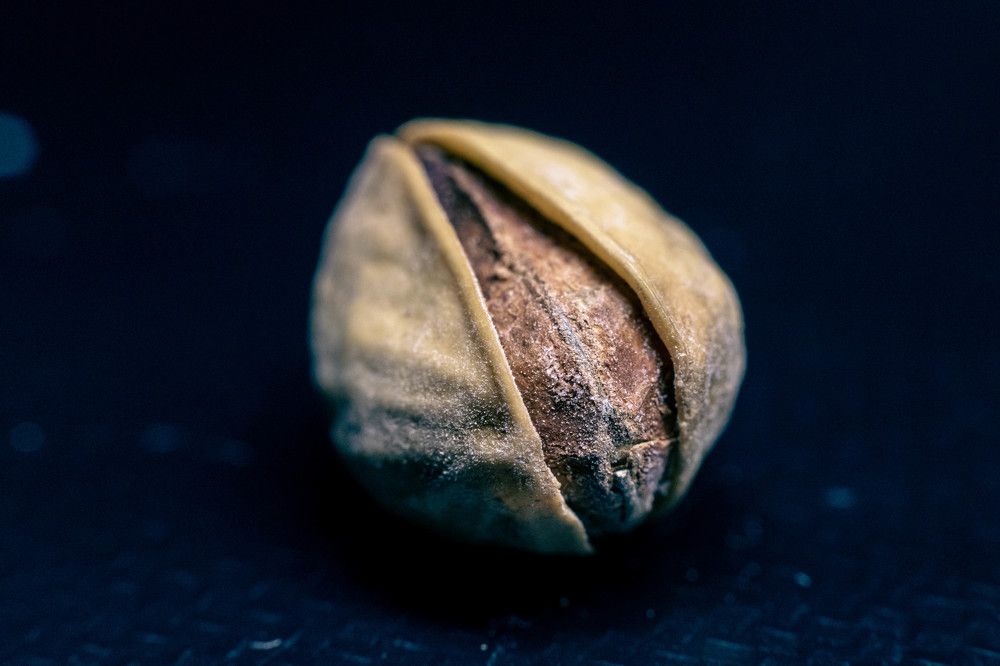 Photograph by Сергей Улыбышев