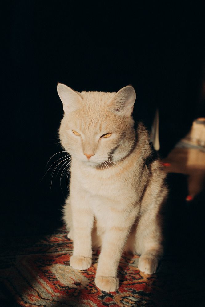 Photograph by Валентина Лугачева