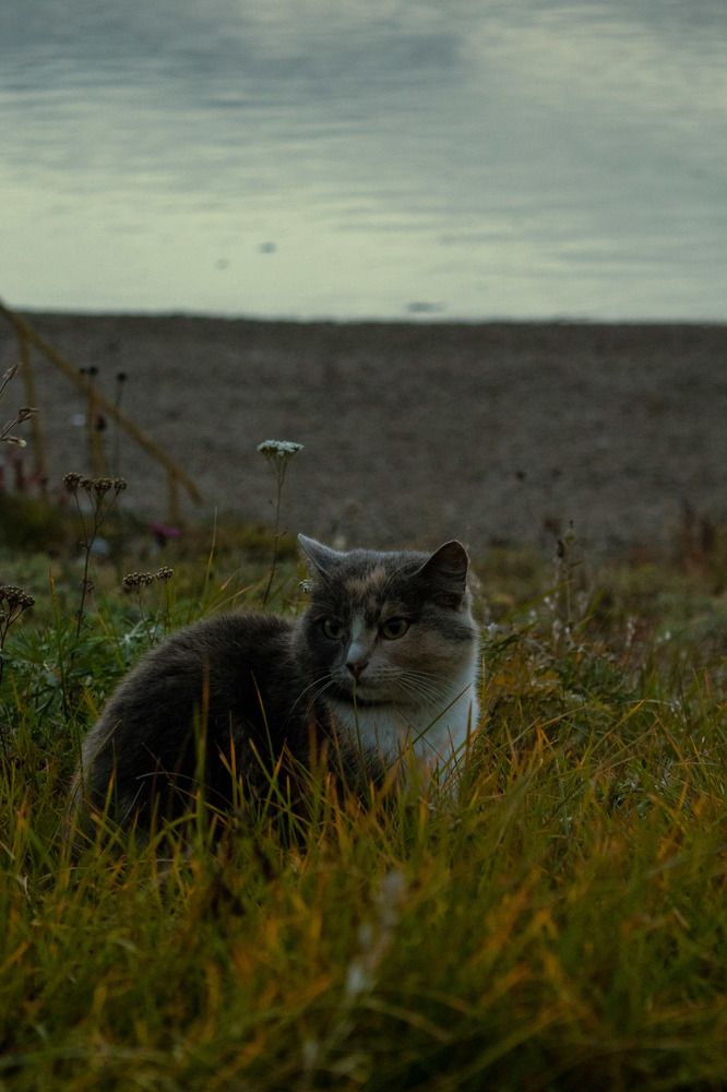 Photograph by Валентина Лугачева