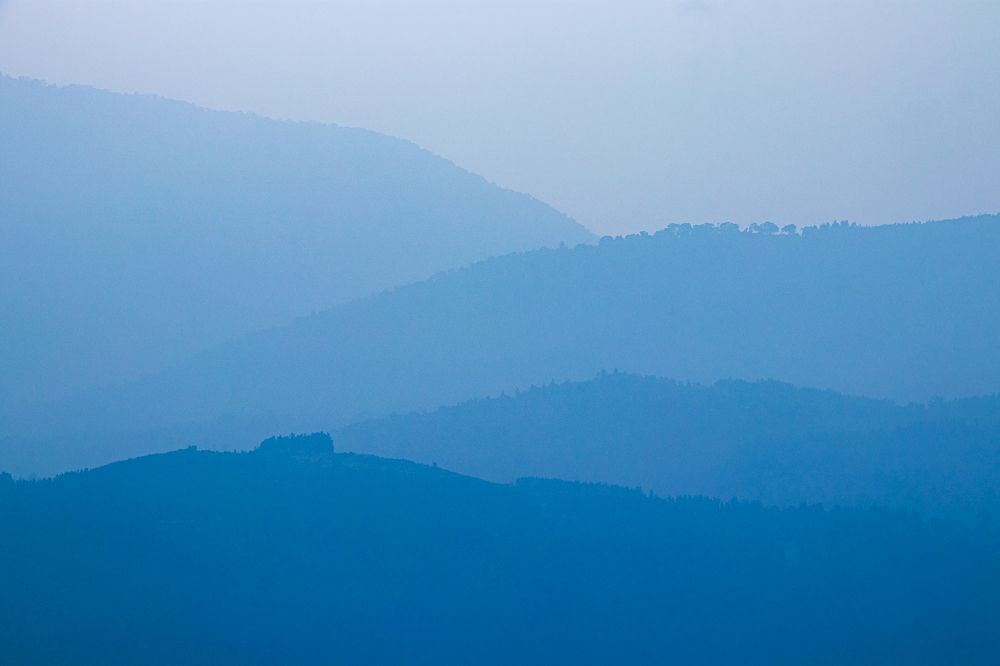 Photograph by Sam Moses