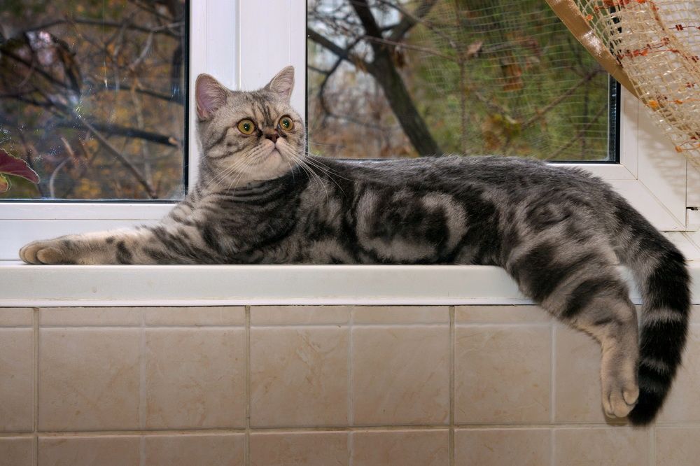 Photograph by Владимир Акиньшин