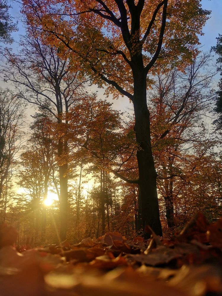 Photograph by Jiunn Tan