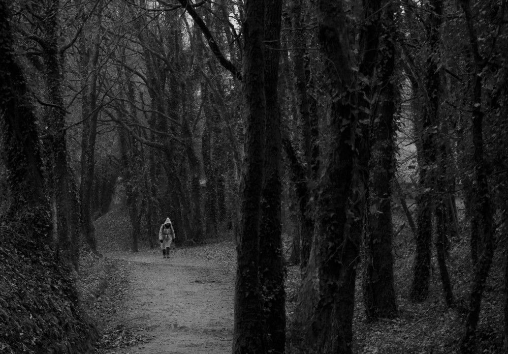The loneliness of the Camino
