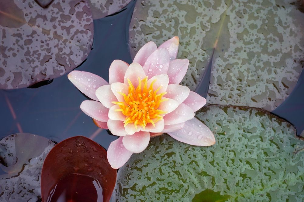 Photograph by Высотских Владимир