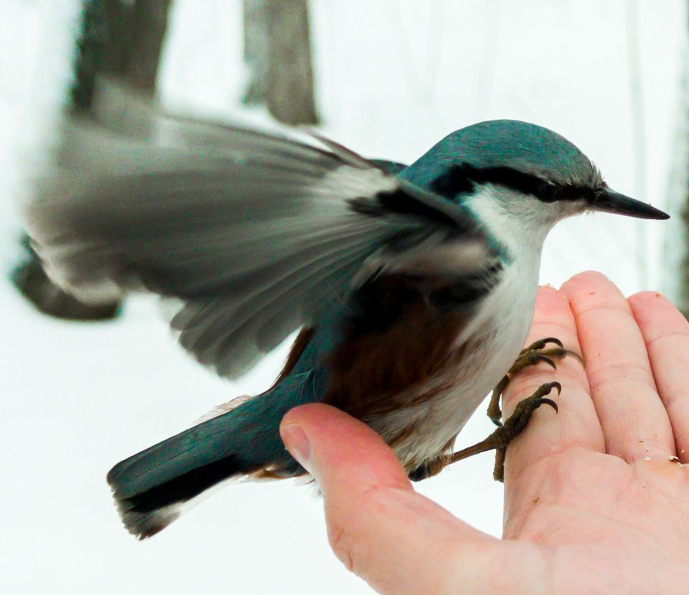 Фотография автора Александр Андреянов