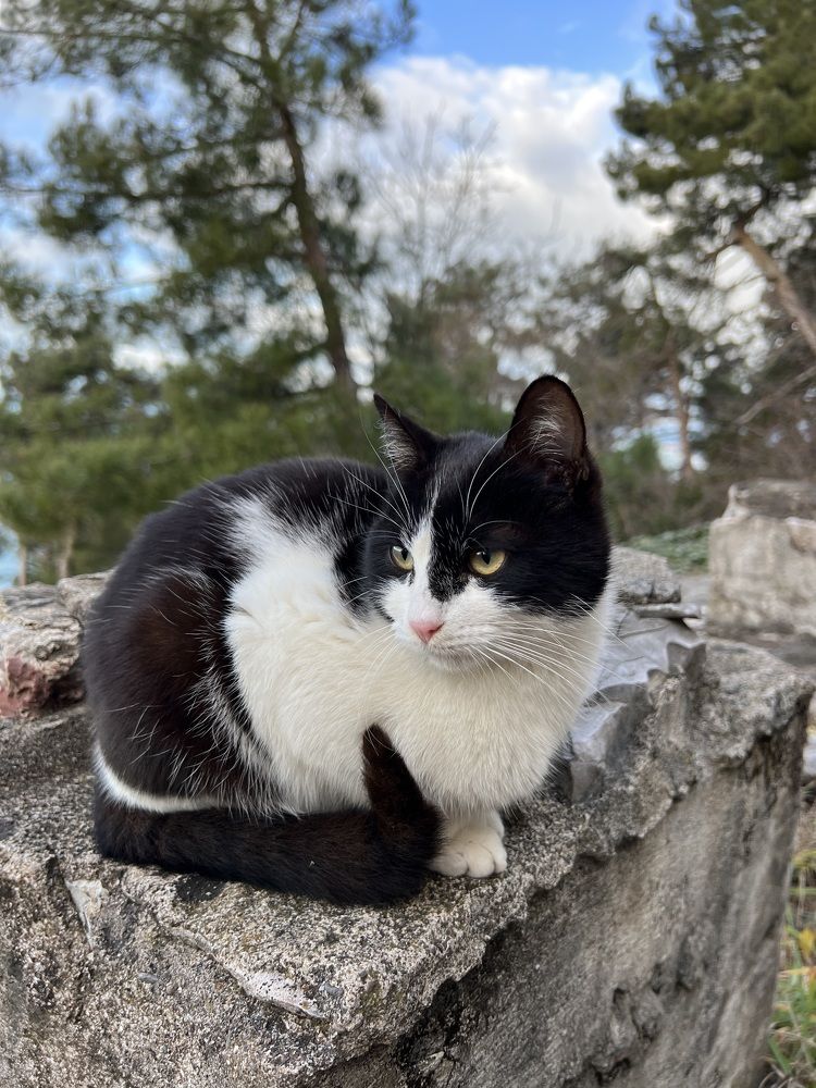 Photograph by Елена Мизина