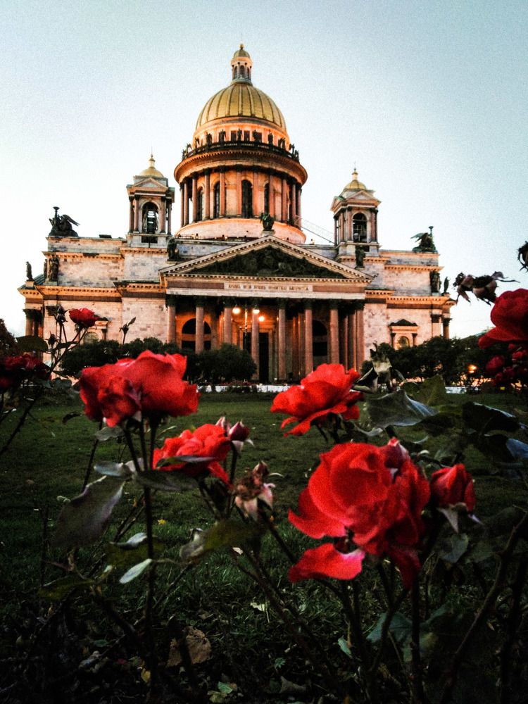 Цветы (Flowers)