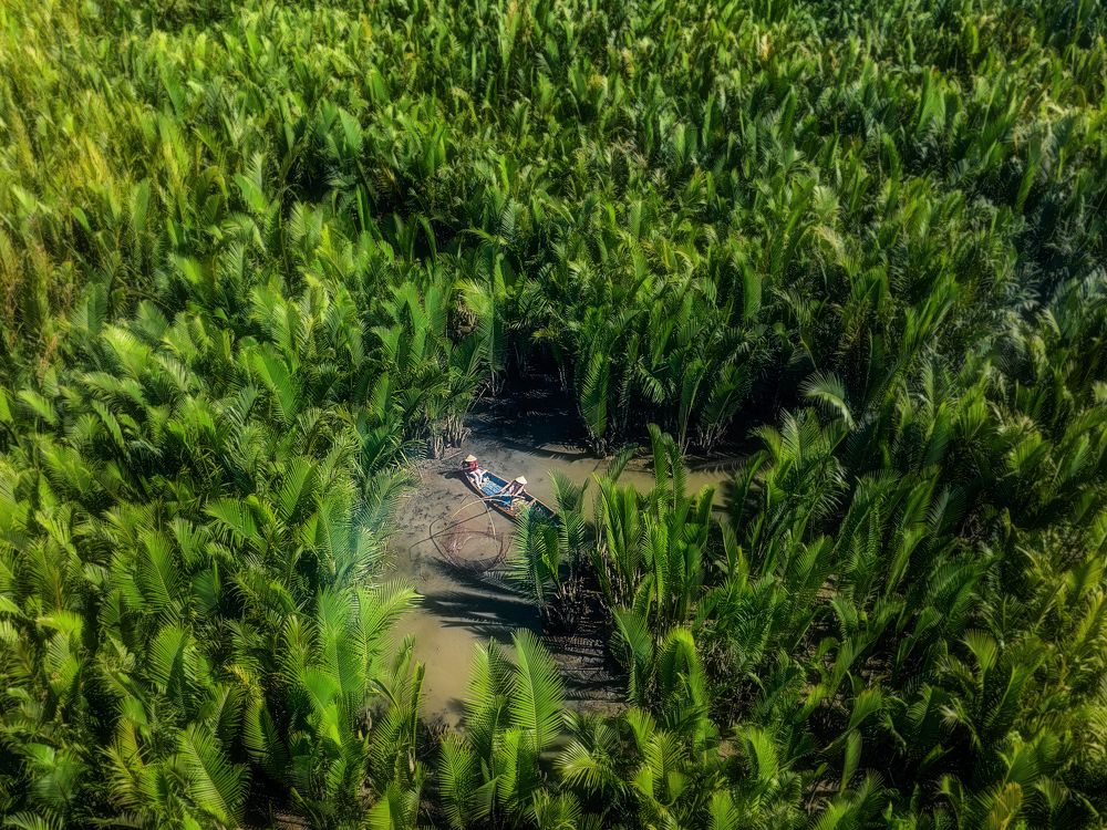 Photograph by Tuấn Nguyễn Tấn