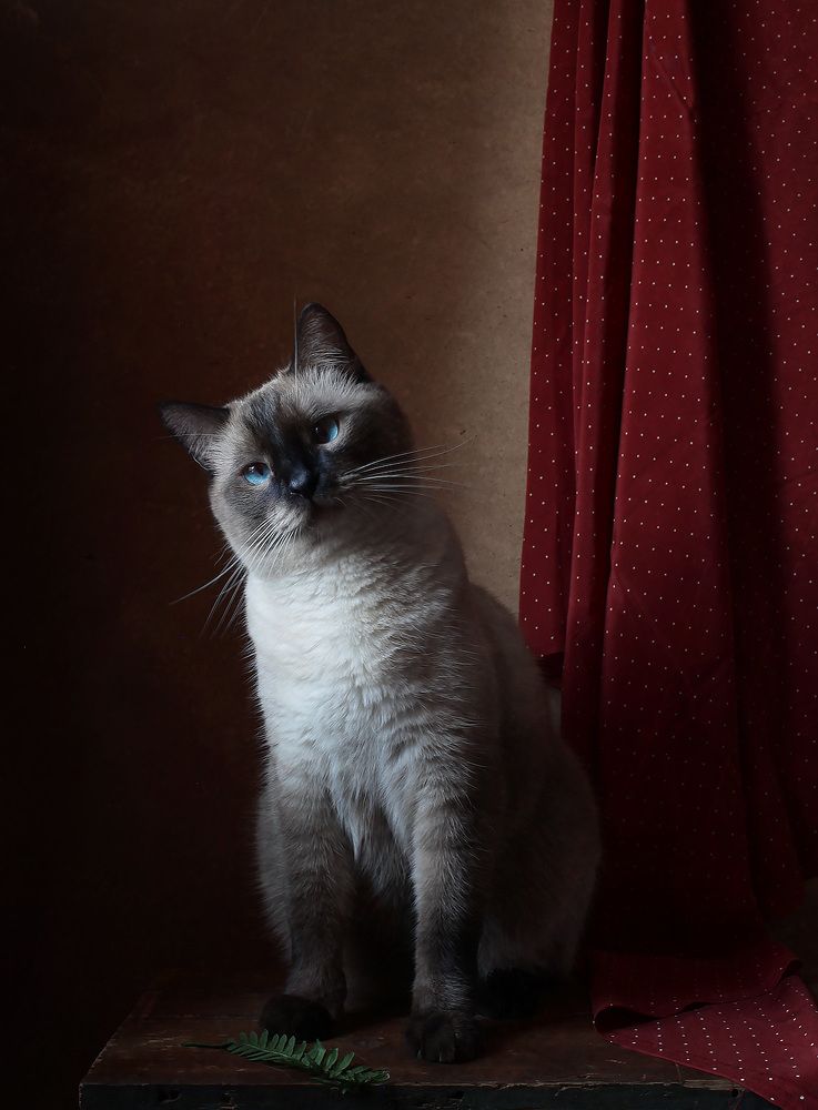 Photograph by Курочкина Диана