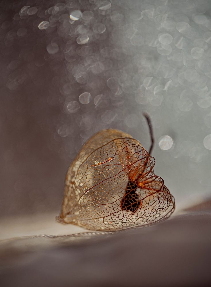 Photograph by Малика Маткарим