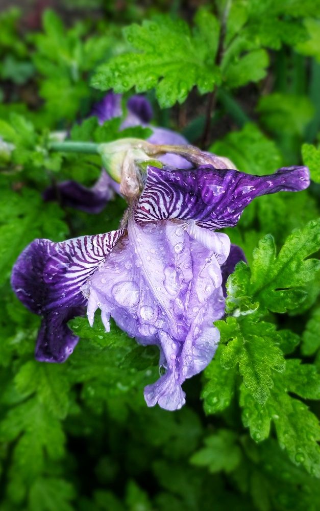 Photograph by ValentinaK