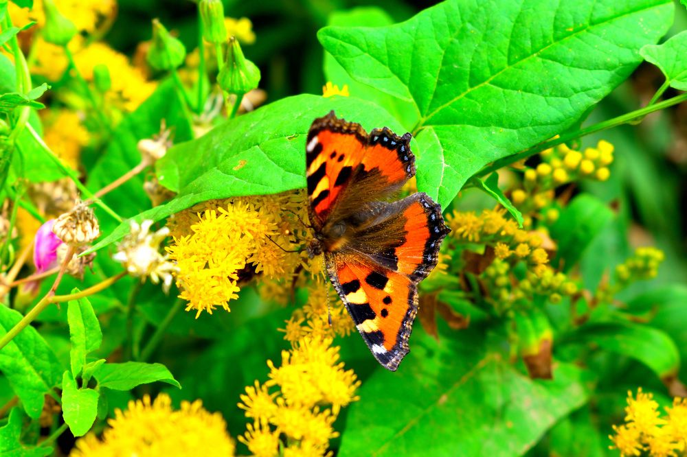 Фотография автора Tkachev Aleksey