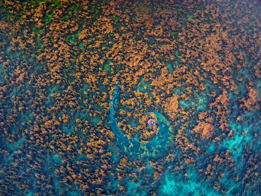 Photograph by Tuấn Nguyễn Tấn