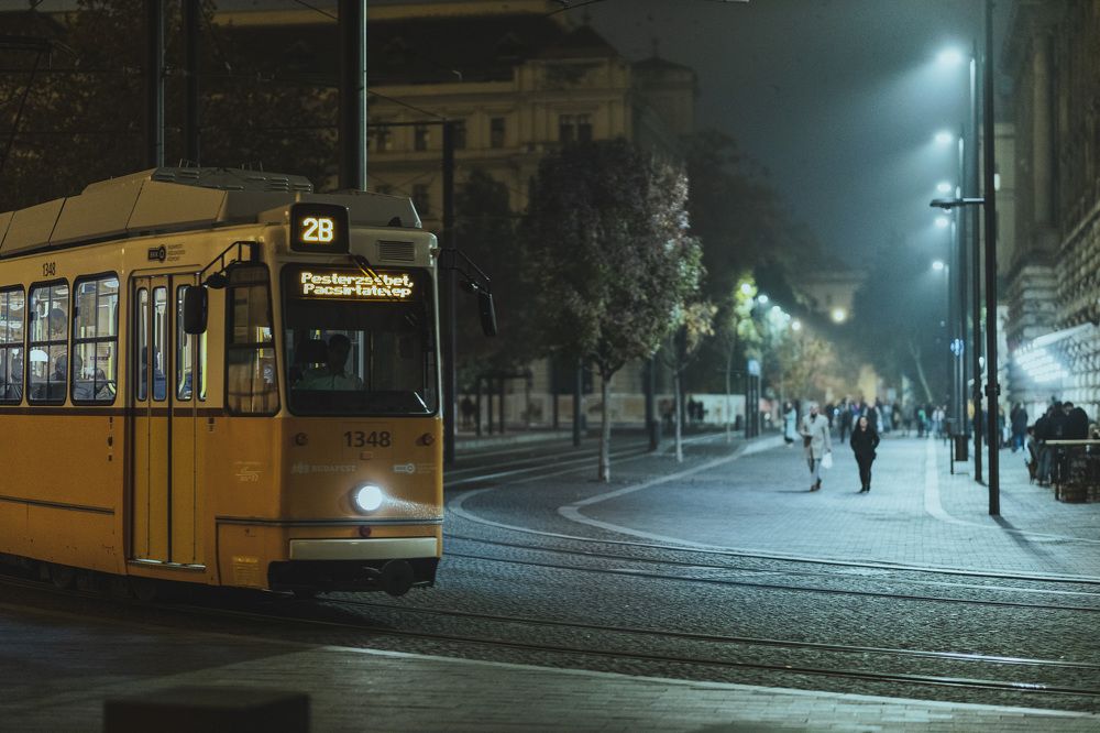 Photograph by ilia Safarov