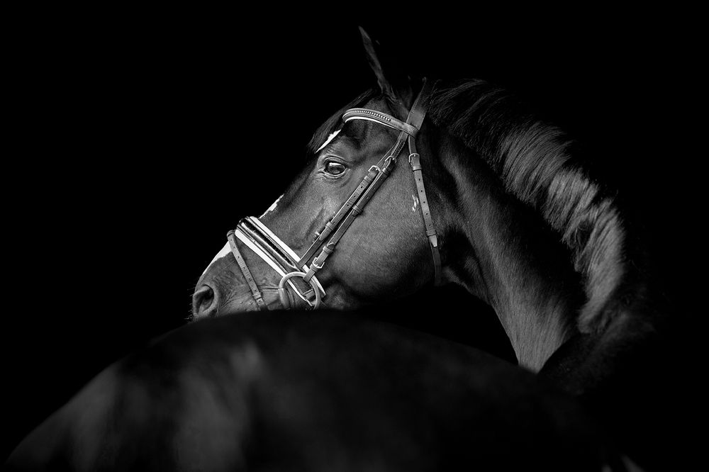 Фотография автора Camilla R Cintra