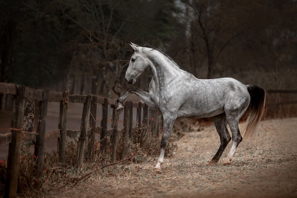 Фотография автора Camilla R Cintra