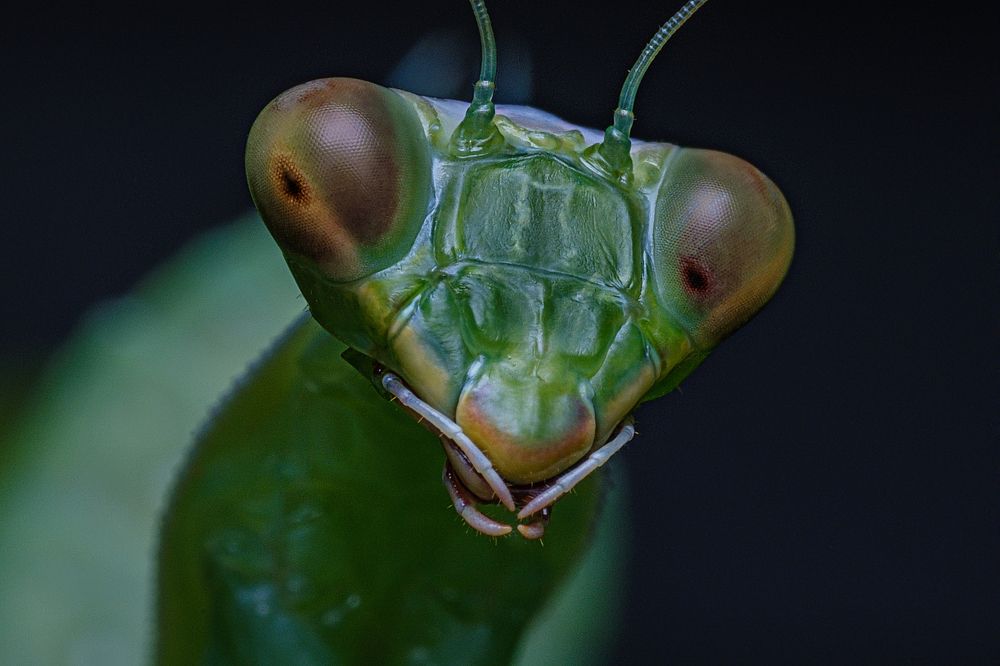 Photograph by Сергей Алтуфьев