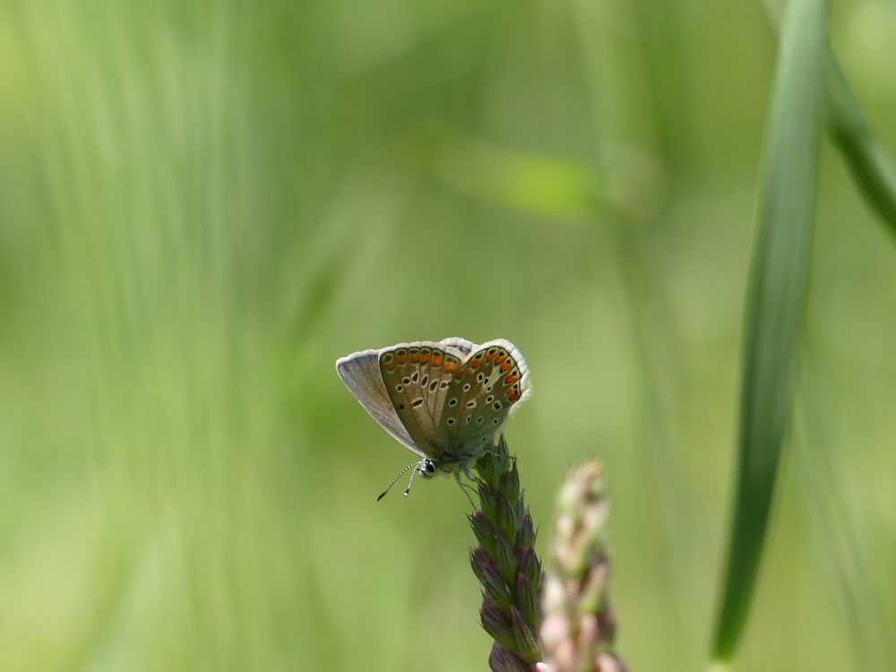 Photograph by ali bakhshi