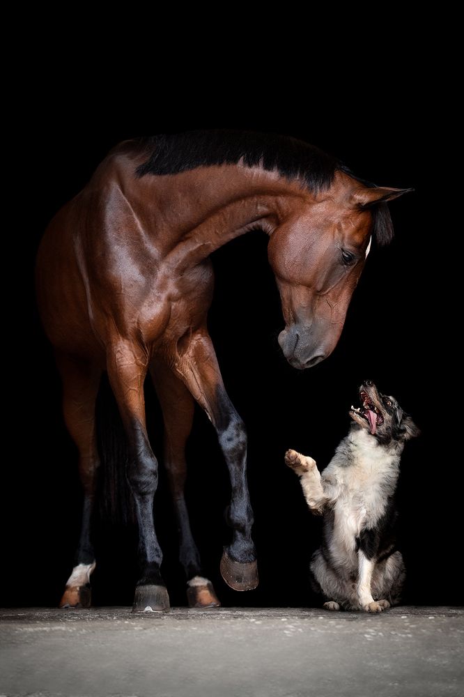 Фотография автора Camilla R Cintra