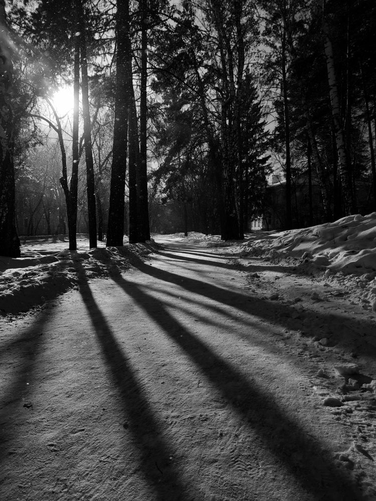 Photograph by Святослава Fujawa