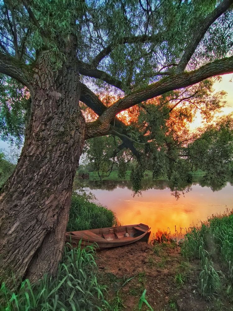 Лето в деревне