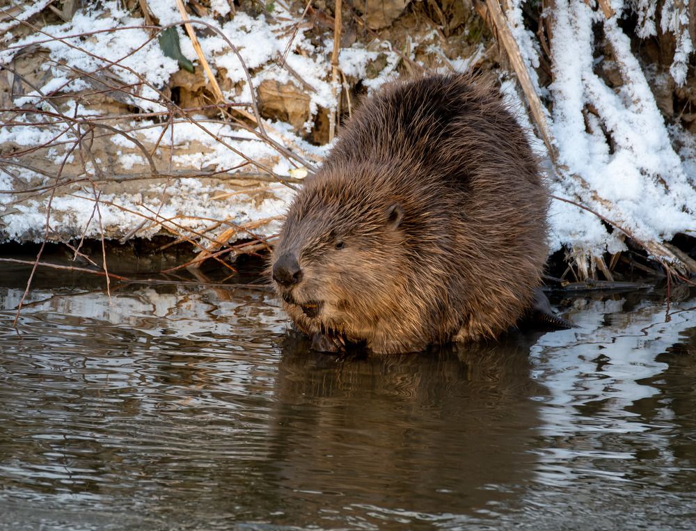 Сантехник -:))