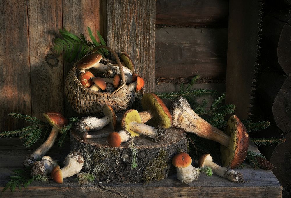 Photograph by Сергей Алексеев