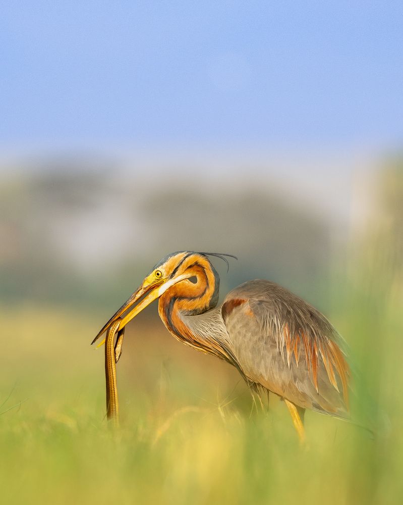 Photograph by ASHWINI BHONGE