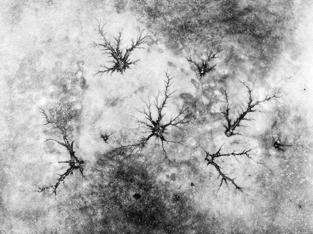 Photograph by Александр Абросимов