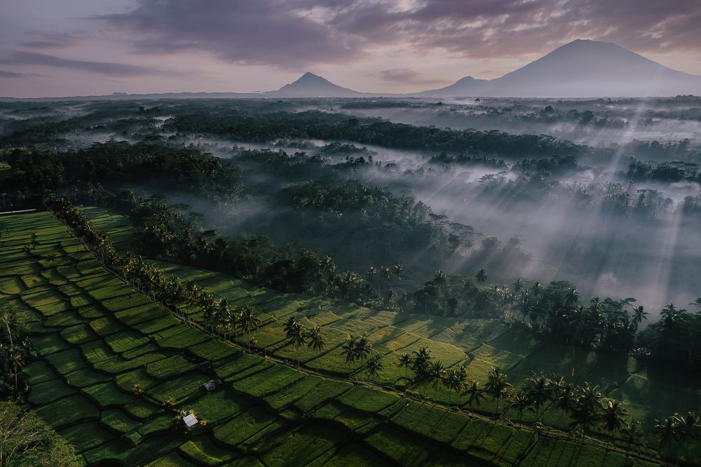 Photograph by Анастасия Сауль