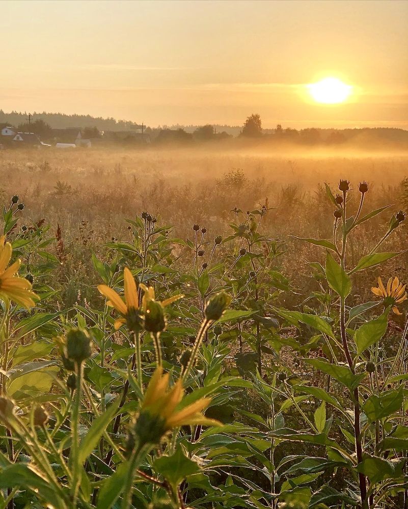 Photograph by Лариса Акинчиц