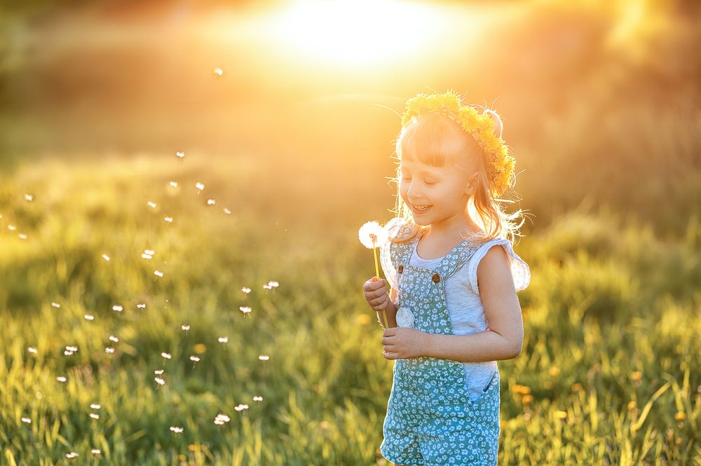 Фотография автора Елена Рогатнева