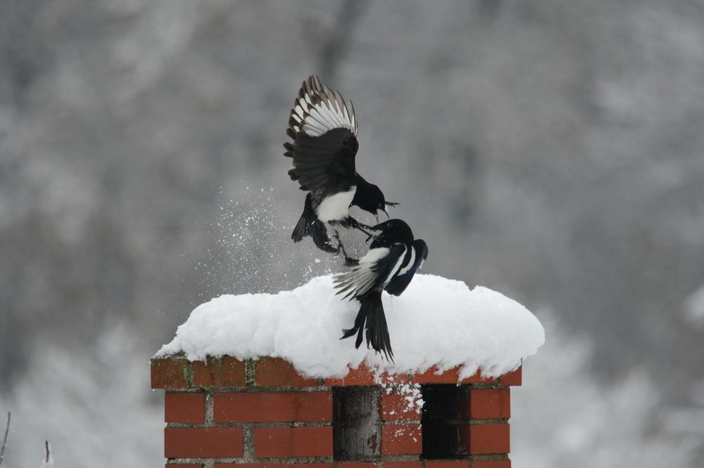 Photograph by Bartosz Adamowski