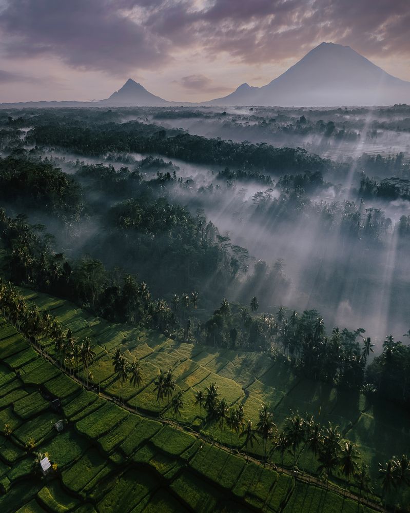 Photograph by Анастасия Сауль