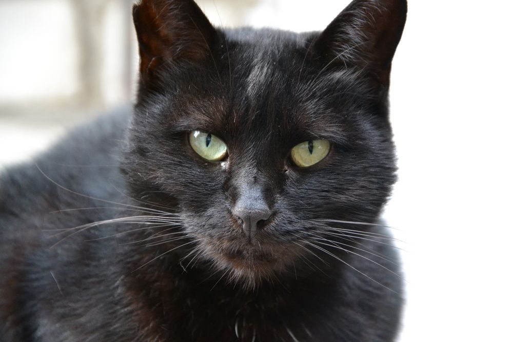 Photograph by Андрей Звездов